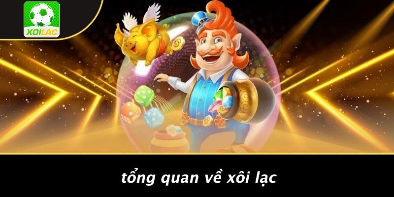 Tổng Quan Về Xôi Lạc