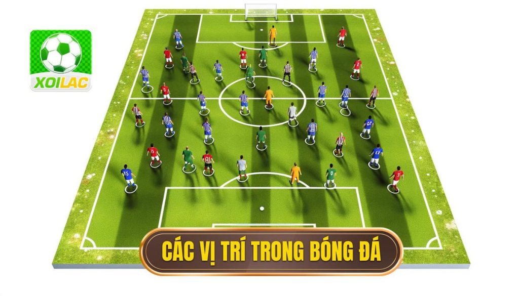 các vị trí trong bóng đá