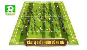các vị trí trong bóng đá