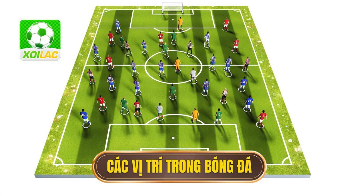 các vị trí trong bóng đá