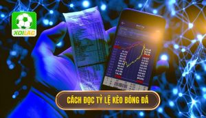 Cách đọc tỷ lệ kèo bóng đá