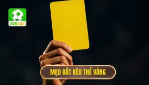Mẹo bắt kèo thẻ vàng