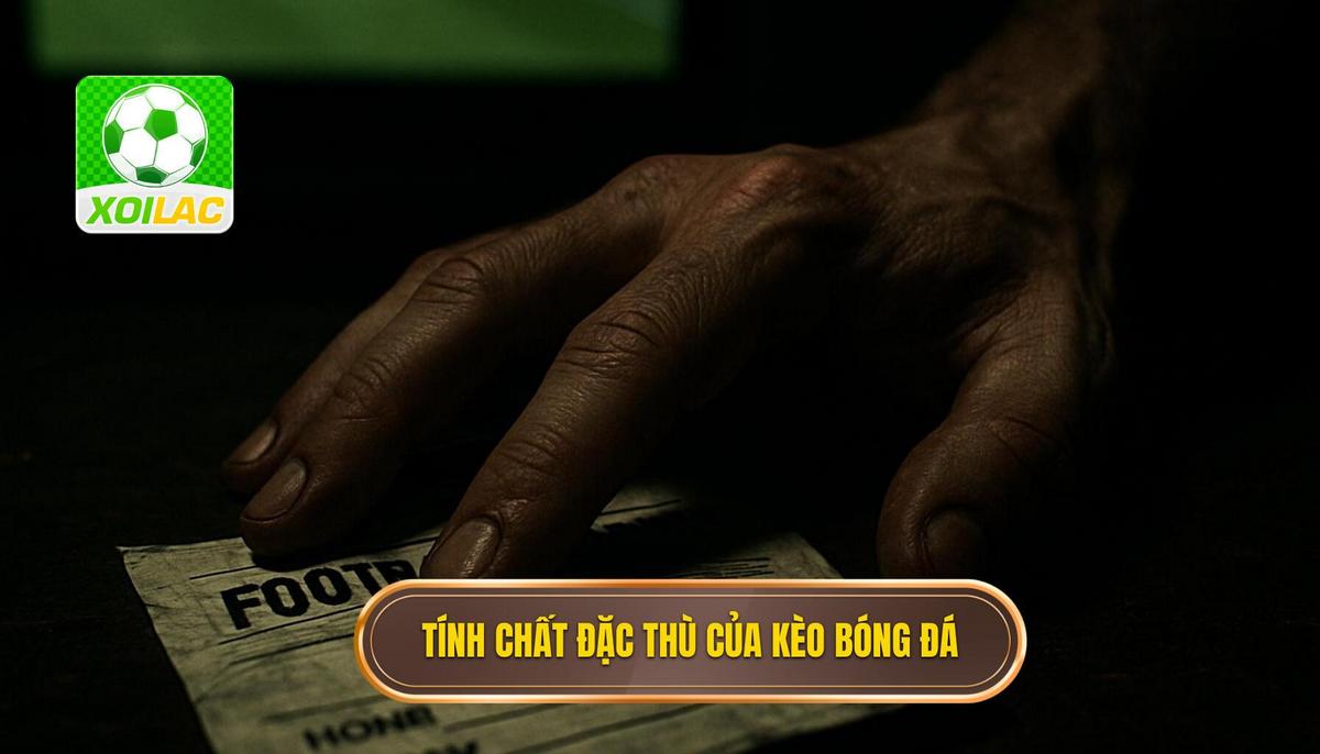 Tính Chất Đặc Thù Của Kèo Bóng Đá World Cup